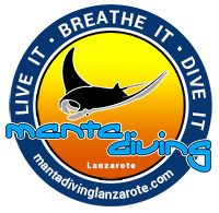 Manta Diving